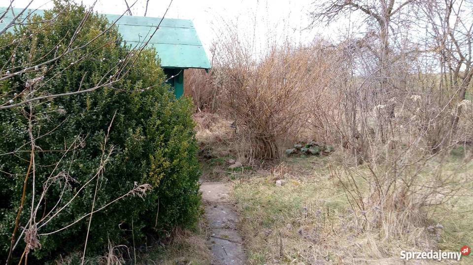 Ogródek działkowy Ostrowiec Świętokrzyski