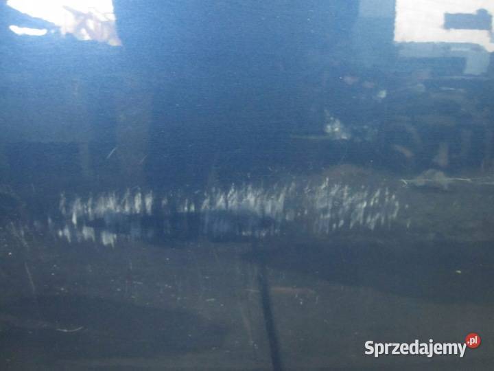 AUDI A4 B7 III 08r drzwi prawe tył 50 mikronów osobowe Kielce