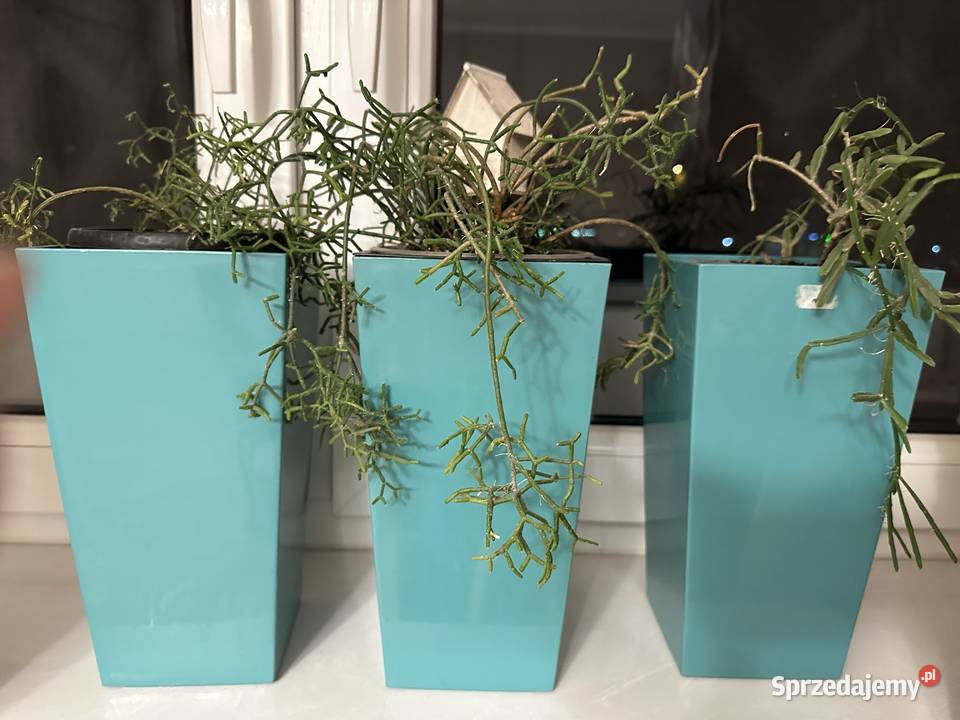 Doniczka osłonka LAMELA finezja Łódź