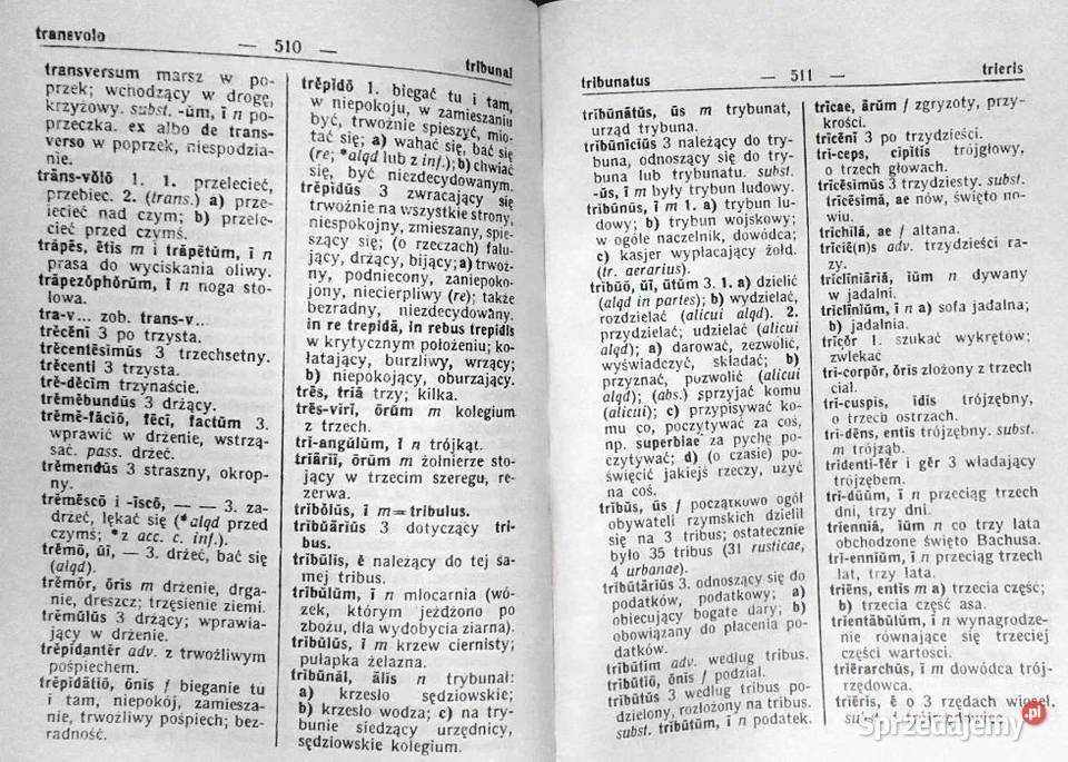 Słownik łacińsko polski Kazimierz Kumaniecki Chełm sprzedam