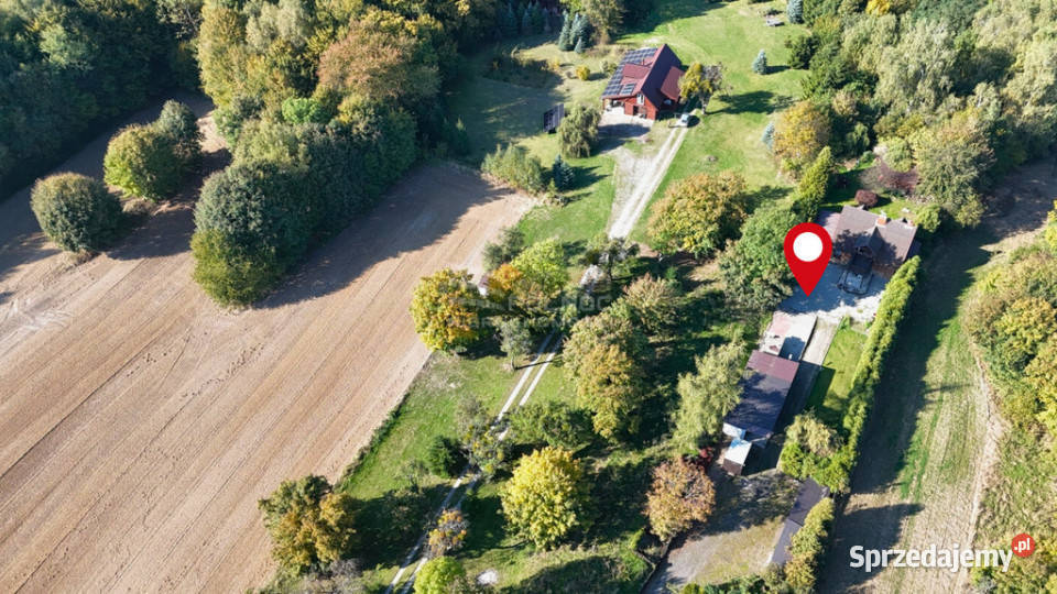 Przytulny dom z potencjałem i ogromną działką Drewniki sprzedam