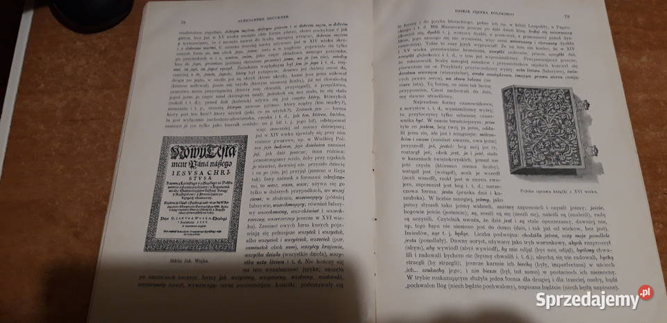 BRUCKNER Aleksander Dzieje języka polskiego sprzedam