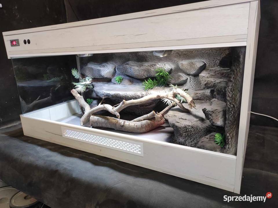 Terrarium 80 40 40cm Agama Gekon wąż zbożowy
