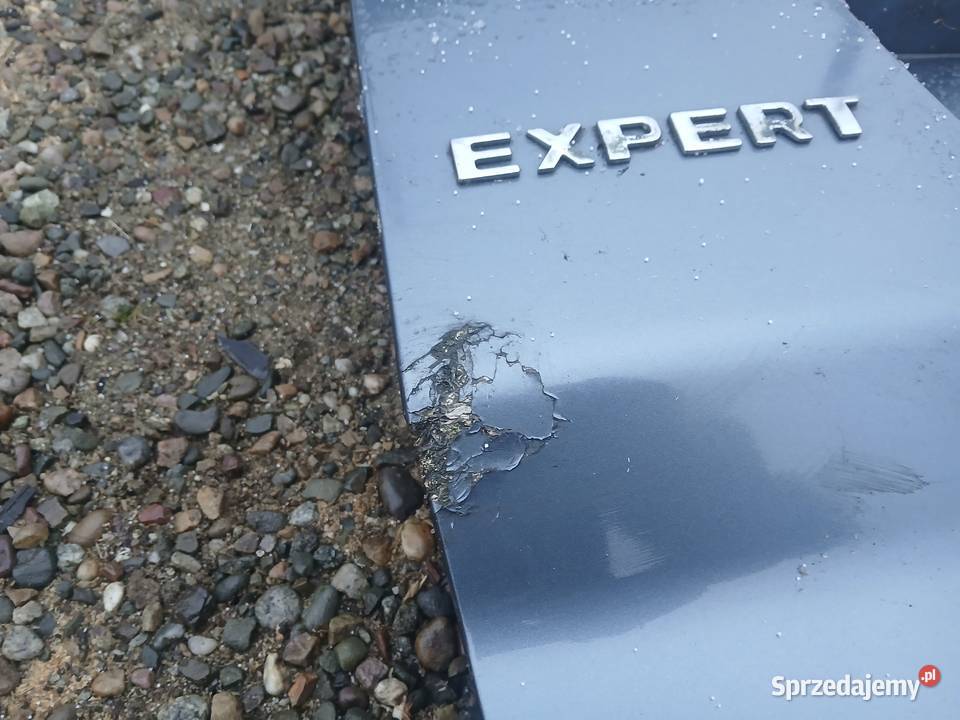 Klapa tył tylna kompletna Peugeot Expert II EZW Radłów