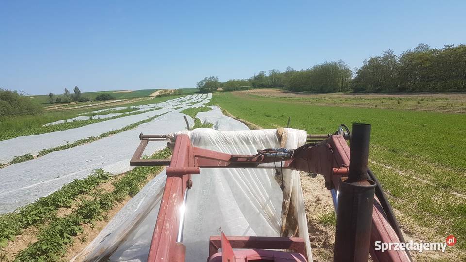 Agrowłóknina 420 1ha i maszyna do rozkladania i Piestrzec