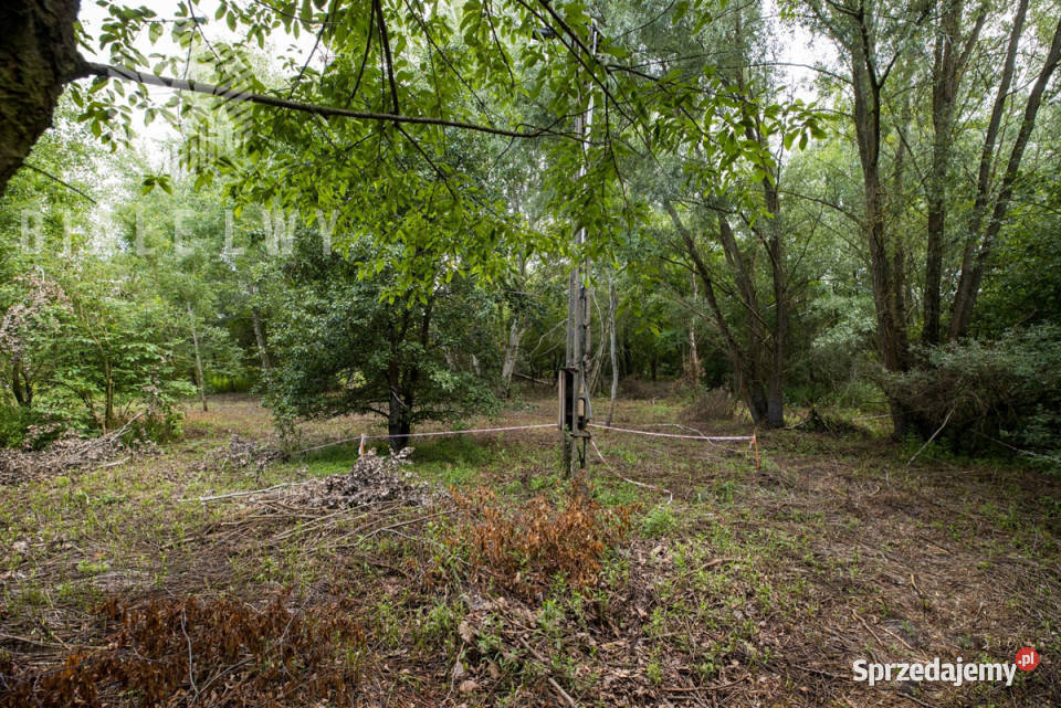 sprzedaży działki Wilcza Góra Polna 1195m2 sprzedam