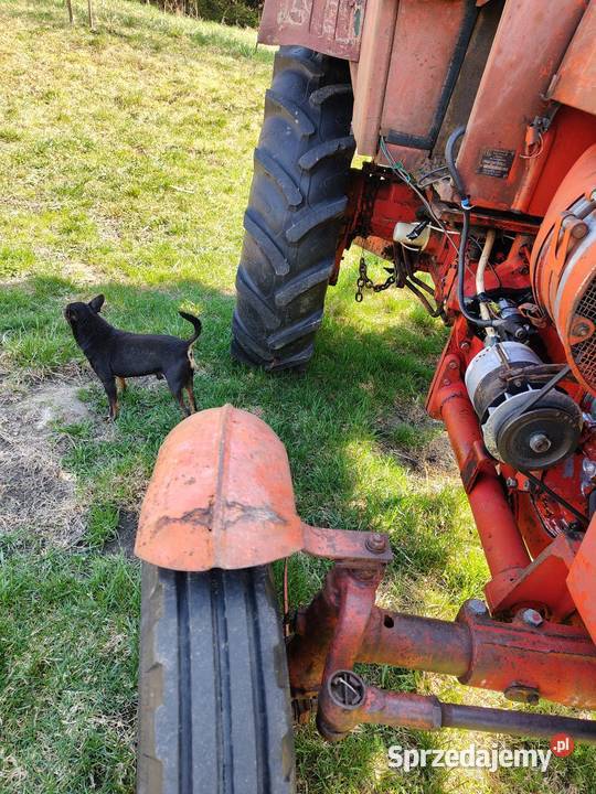 Władymirec T 25 1985 8900