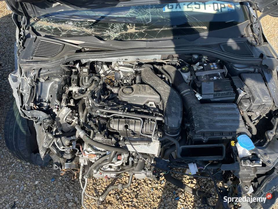 VOLKSWAGEN Golf VIII 15 eTSi 115 Life plus DSG7 115KM Lublin