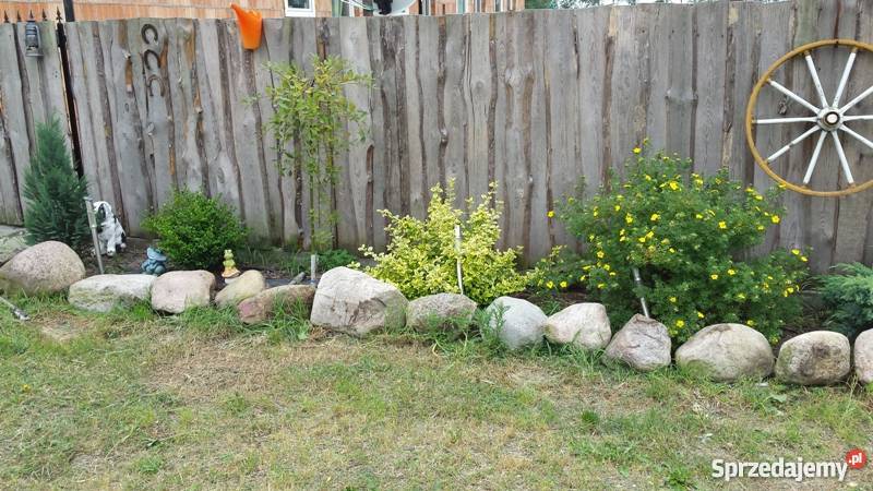 Sprzedam dom 135m2 działka 17200m2 Bezpośrednio wolnostojący mazowieckie Sochaczew