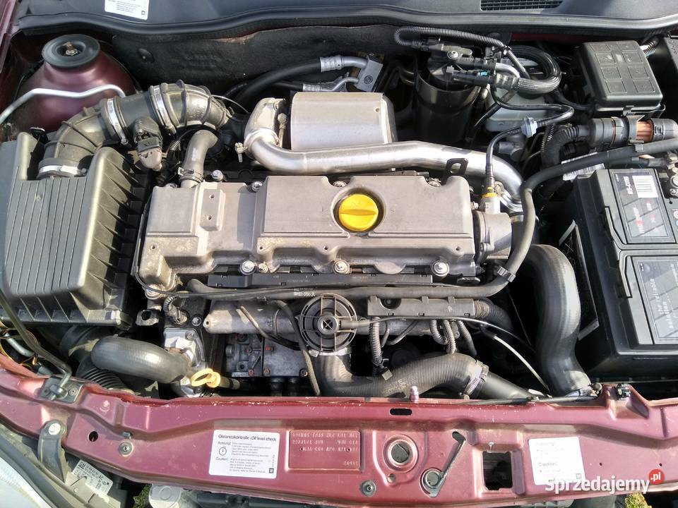 Opel Astra G2002r216bez grama korozjinowe diesel Osobnica