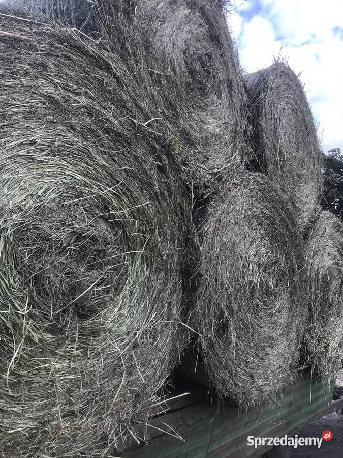 Siano Opatówek sprzedam