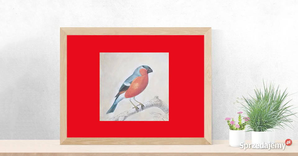 vintage plakat z ptaszkiem ptaszek obrazek A4 odcienie czerwieni Łódź