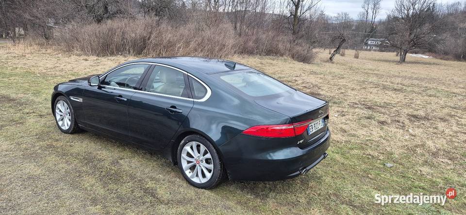 Jaguar XF 30 diesel 300 Prestige XF Limanowa