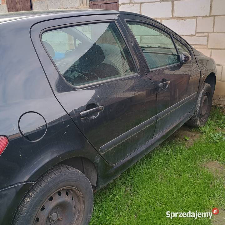 Peugeot 307 EXL drzwi maska blotnik lubelskie Lublin