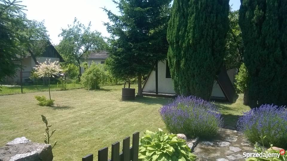 Działka rekreacyjna ROD Frezja Wrocław sprzedam