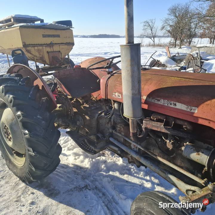 Massey ferguson Grabów nad Wisłą sprzedam
