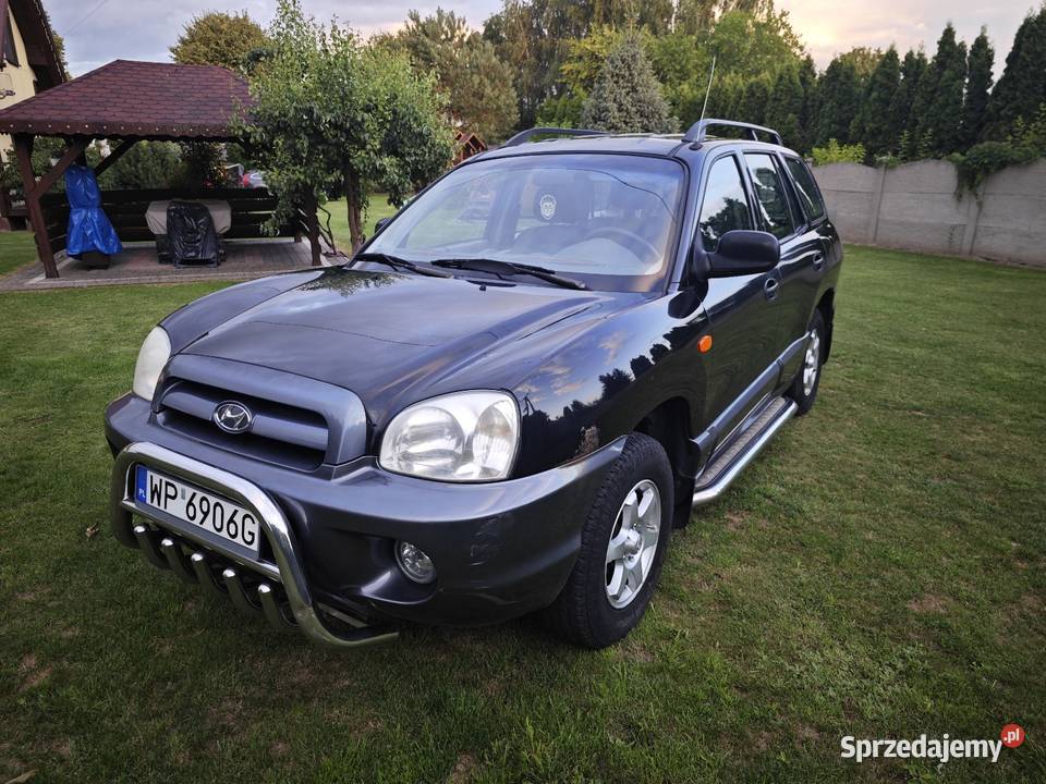 Hyundai Santa Fe 20 LPG 2004 manualna