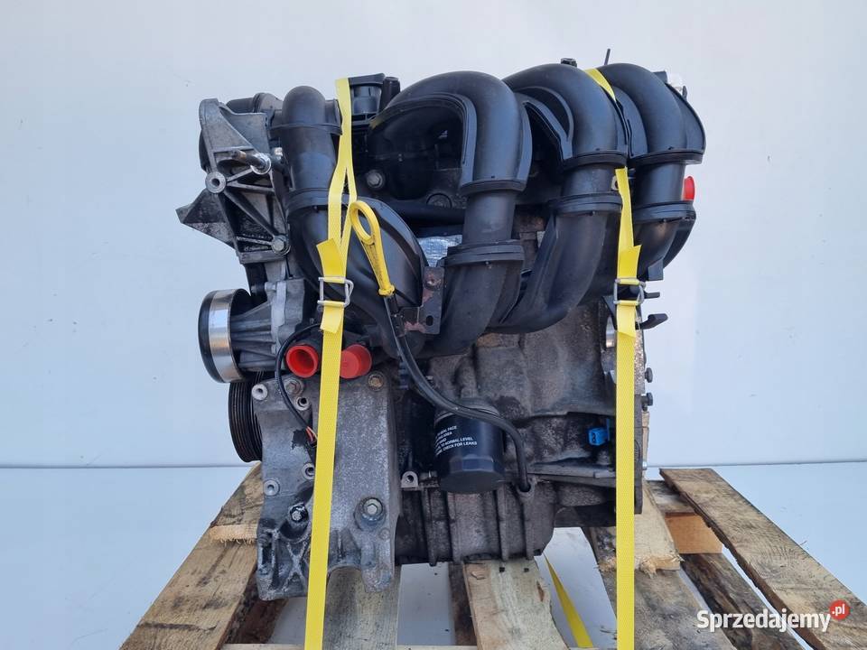 SILNIK KOMPLET Ford Focus II MK2 16 16V 100 SHDA