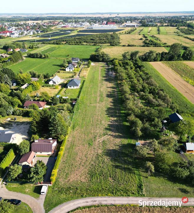 Zamość Karolówka działka budowlana 10 arów z WZ lubelskie sprzedam