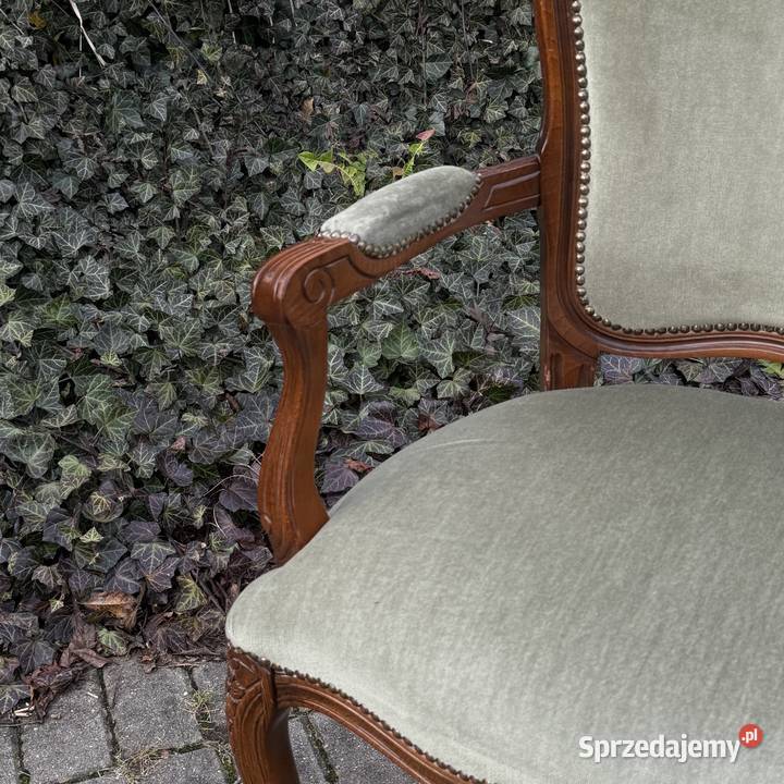 ARTexpert Wygodny Pałacowy fotel Ludwik welur zachodniopomorskie Dobrzany