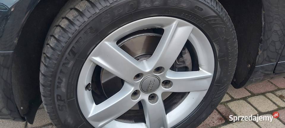 Audi A4 B7 Disel 19 tdi 115 koni kombi Tolkmicko