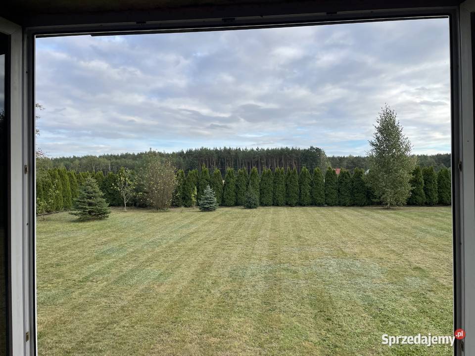 Działka rekreacyjna 813m z domkiem 35m jezioro 26m Sprzedaż Krasne