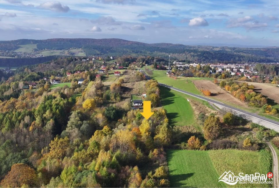 Grunt Lesko 2712m2 Sprzedaż sprzedam