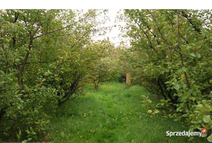 Zelków działka budowlana 24a media na działce Grunty i działki Kraków