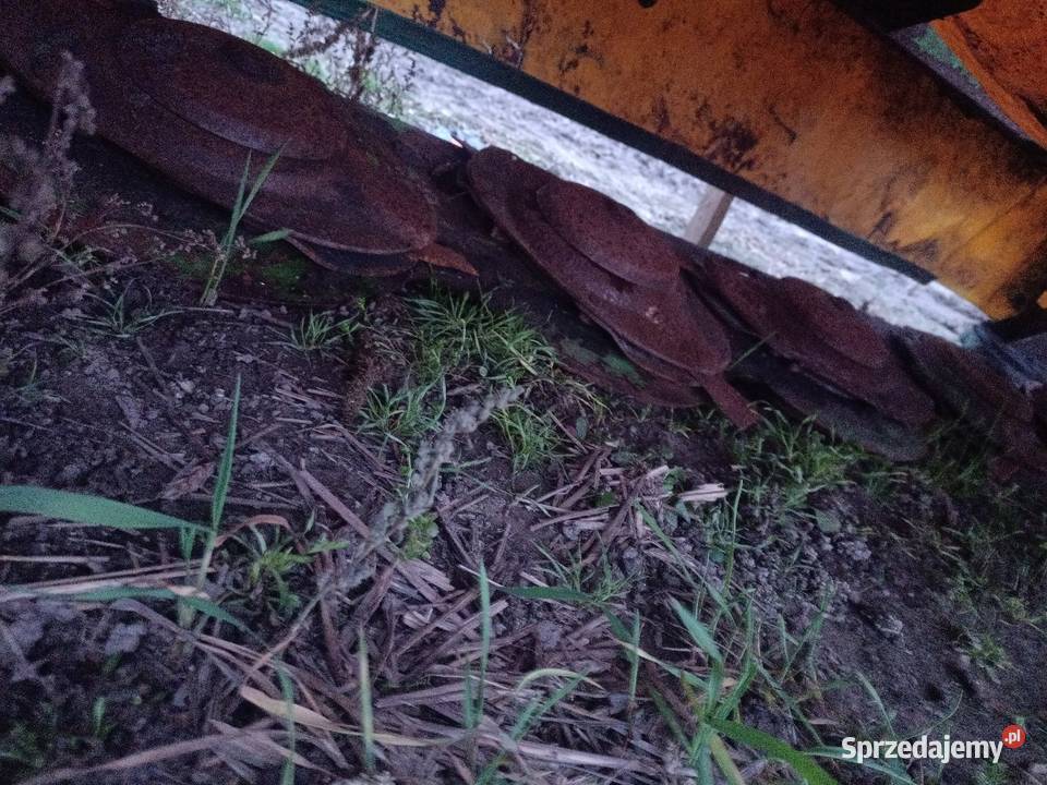Kosiarka dyskowa przednia SaMasz Porażyn