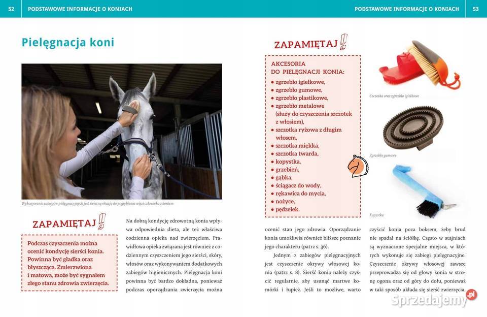 ENCYKLOPEDIA JAZDY KONNEJ JAGODA BOJARCZUK Osięciny