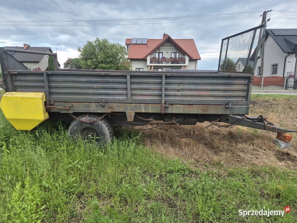 Rozrzutnik obornika czarnabiałostocka Sędziszów
