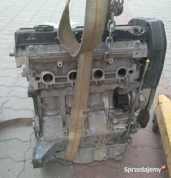 FREELANDER I 18i 16V silnik bez osprzętu Augustów