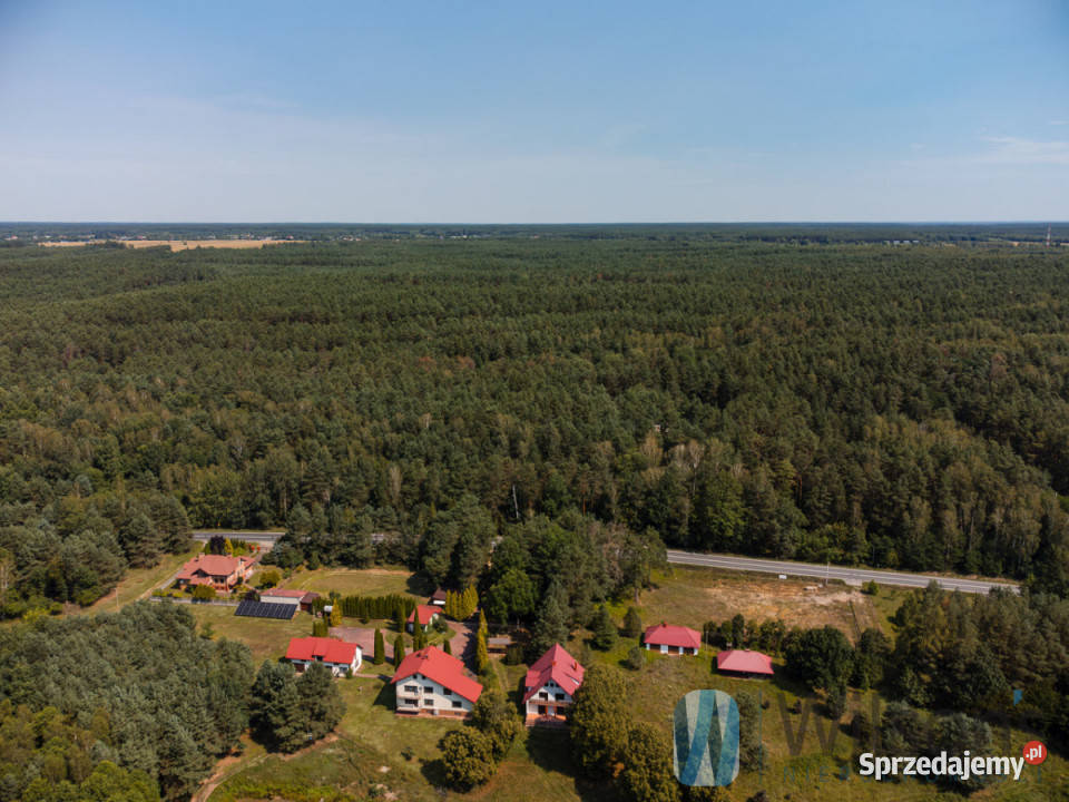 Grunt 12316m2 Inowłódz
