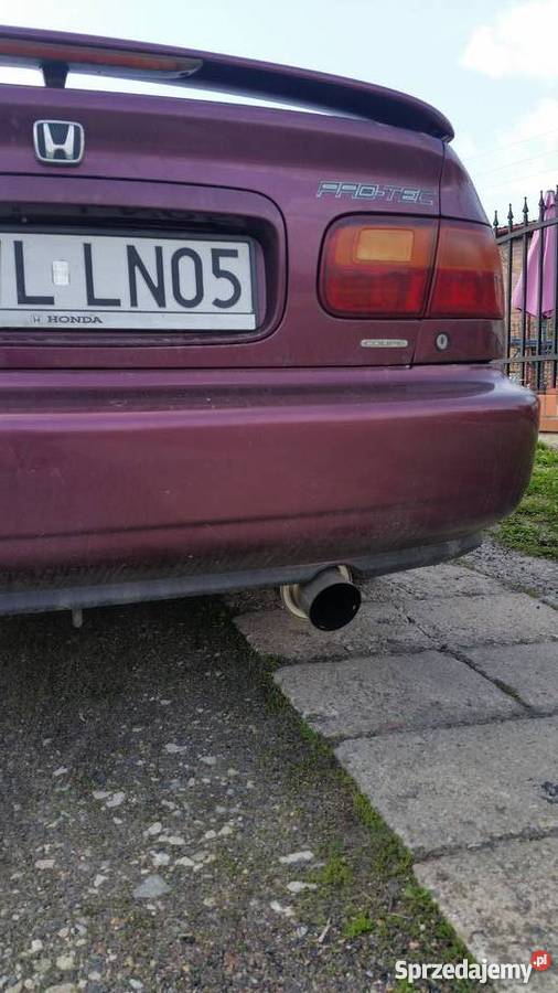 Honda Civic Protec USA manualna Włocławek sprzedam