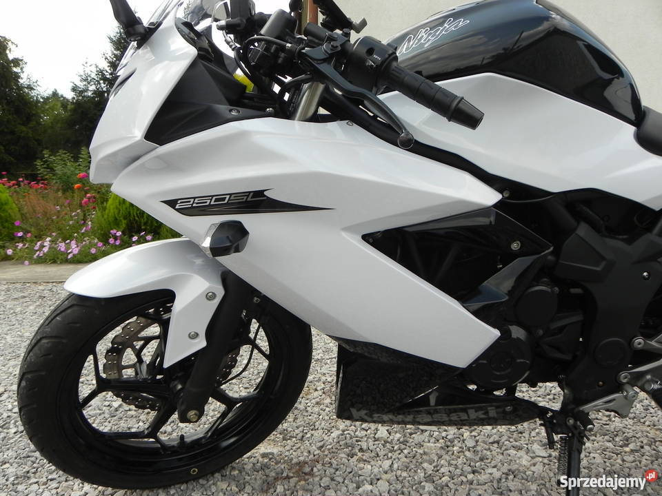 Kawasaki Ninja 250 SL Wielgomłyny sprzedam