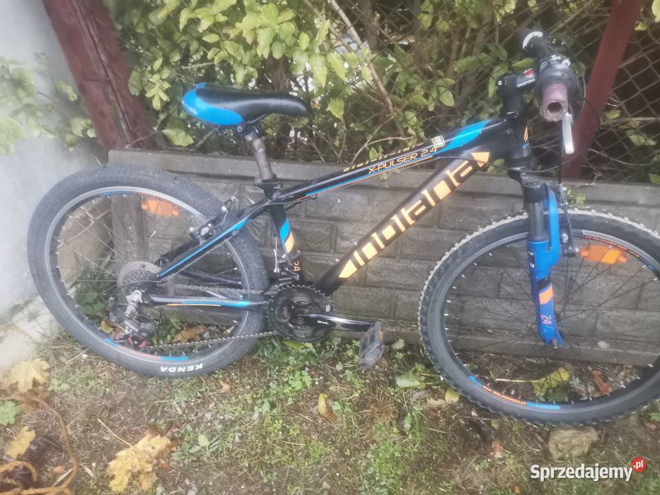 Rower młodzieżowy Indiana 24 Chełmno