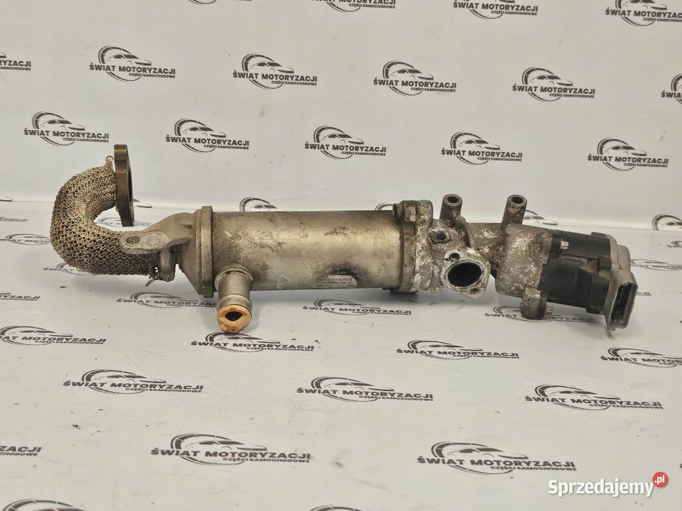 RANGE ROVER SPORT 27 TDV6 276DT 190 chłodniczka osobowe świętokrzyskie sprzedam