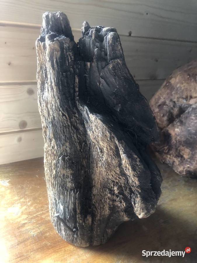 Sztuka użytkowa drewno Ciepielów sprzedam