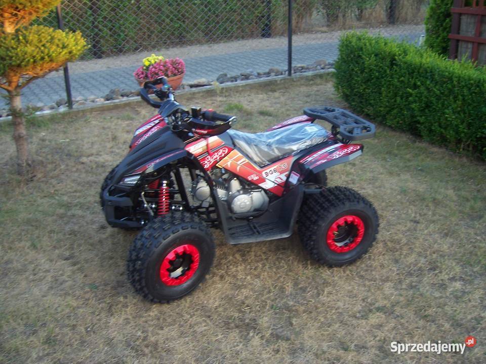 Quad quady nowe 150 180 cc czterosuw benzyna 100km Goleniów