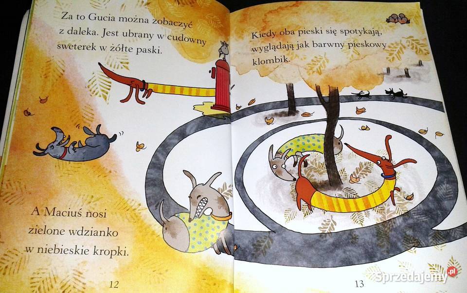 Zuzia i piesek w kratkę Pierwsze czytanki Irena lubelskie Chełm