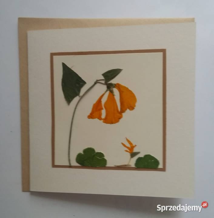 KARTKI OKOLICZNOŚCIOWE KWIATY SUSZONE Hand Made