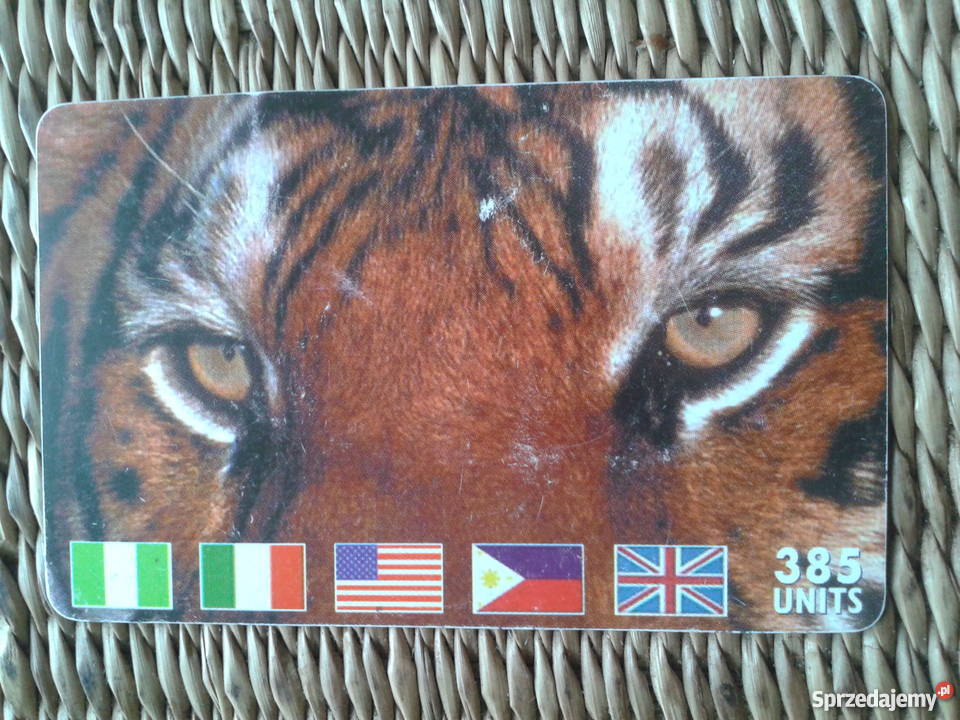 TYGRYS DRAPIEŻNY SSAK Z RODZINY KOTOWATYCH Piszczac