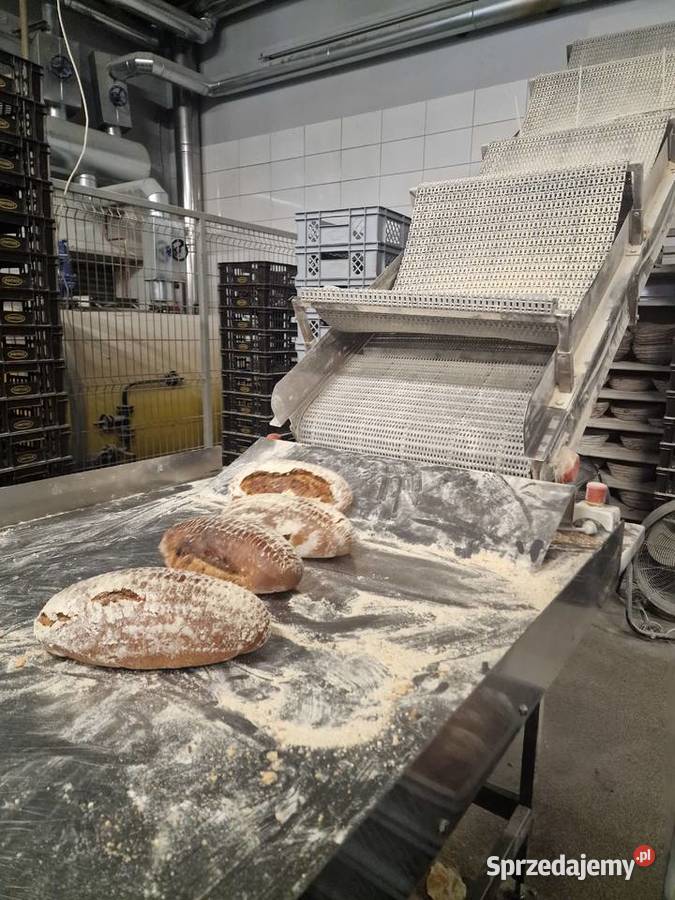 Piece piekarnicze półkowe termoolejowe Miwe Rzeszów