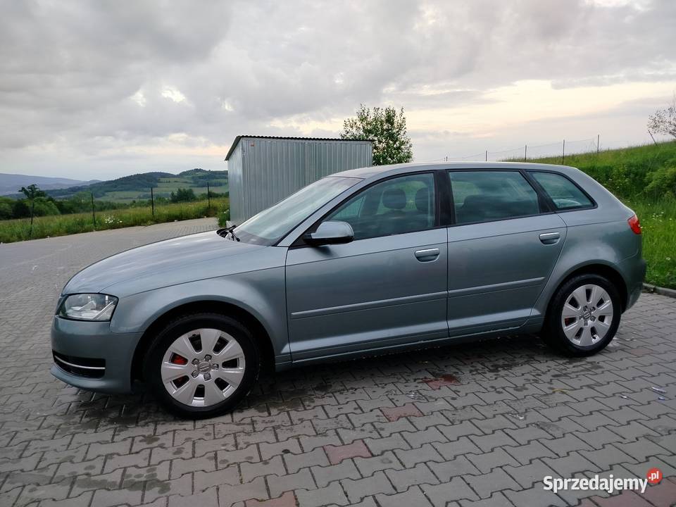Audi A3 8P sportback lift 16tdi Ptaszkowa