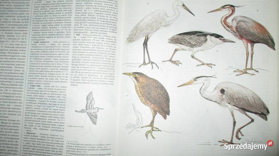 Świat roślin skał i minerałów Świat Łódź