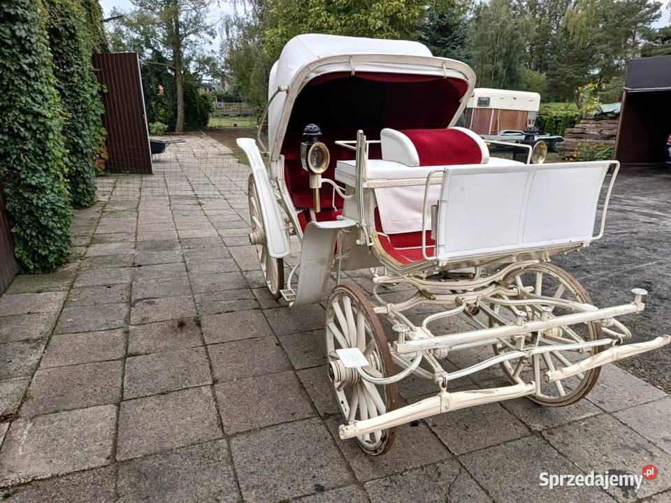 Powóz Konny Milord Bryczka