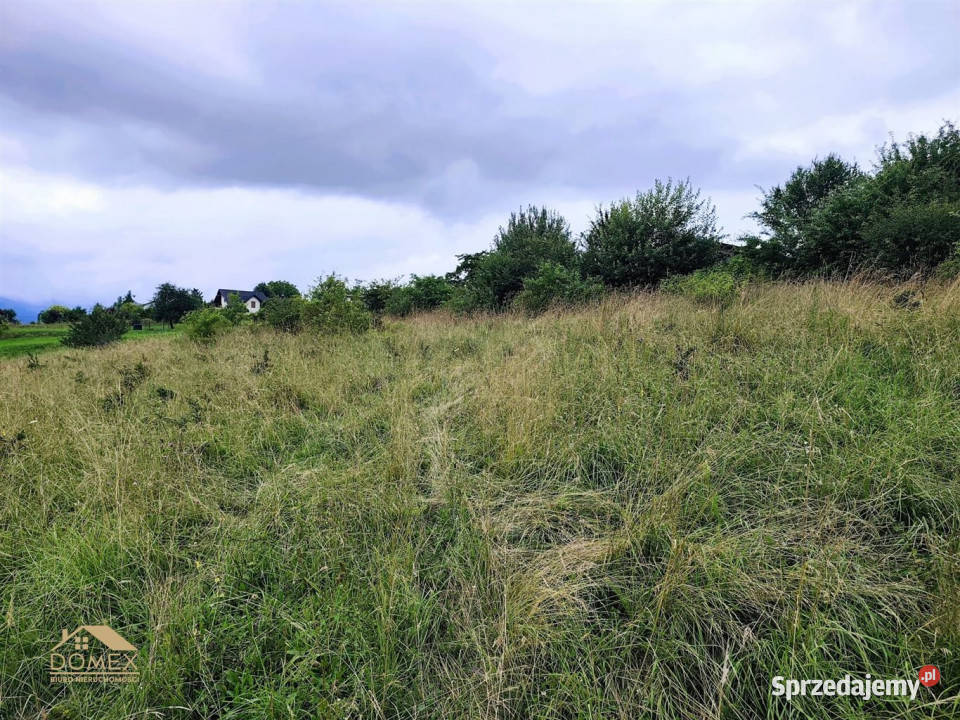 Grunt 1300m2 Lipowa Sprzedaż