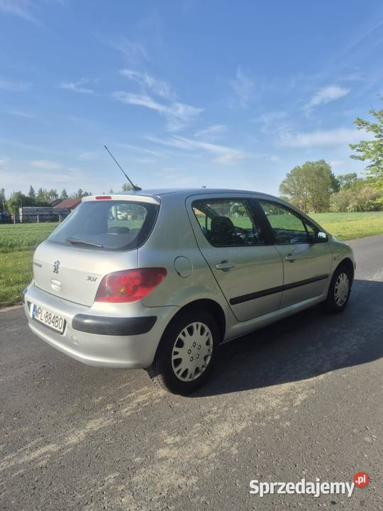 Peugeto 307 Skierniewice