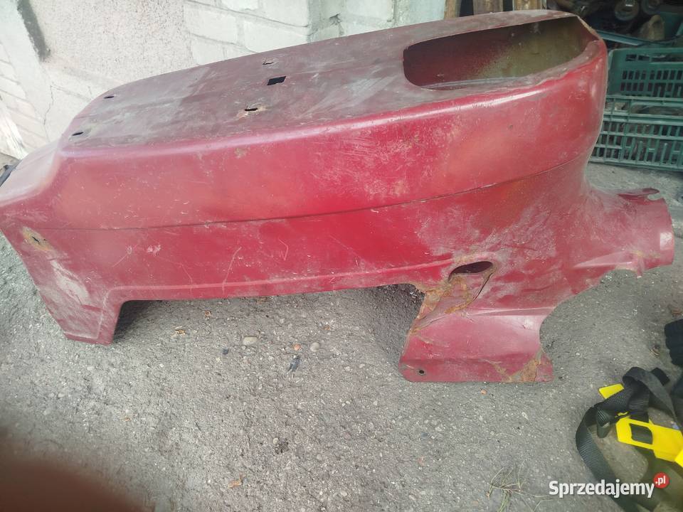 Kokon Jawa kaczka Siedlce