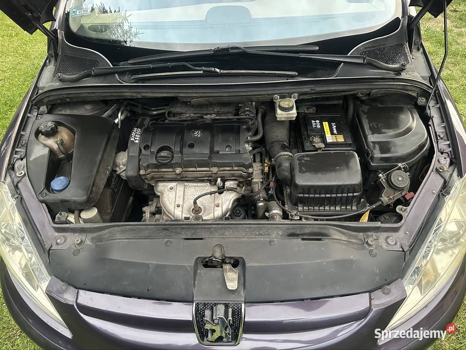 Peugeot 307 16 16V 109 1600cm3